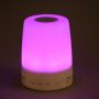 Mini speaker